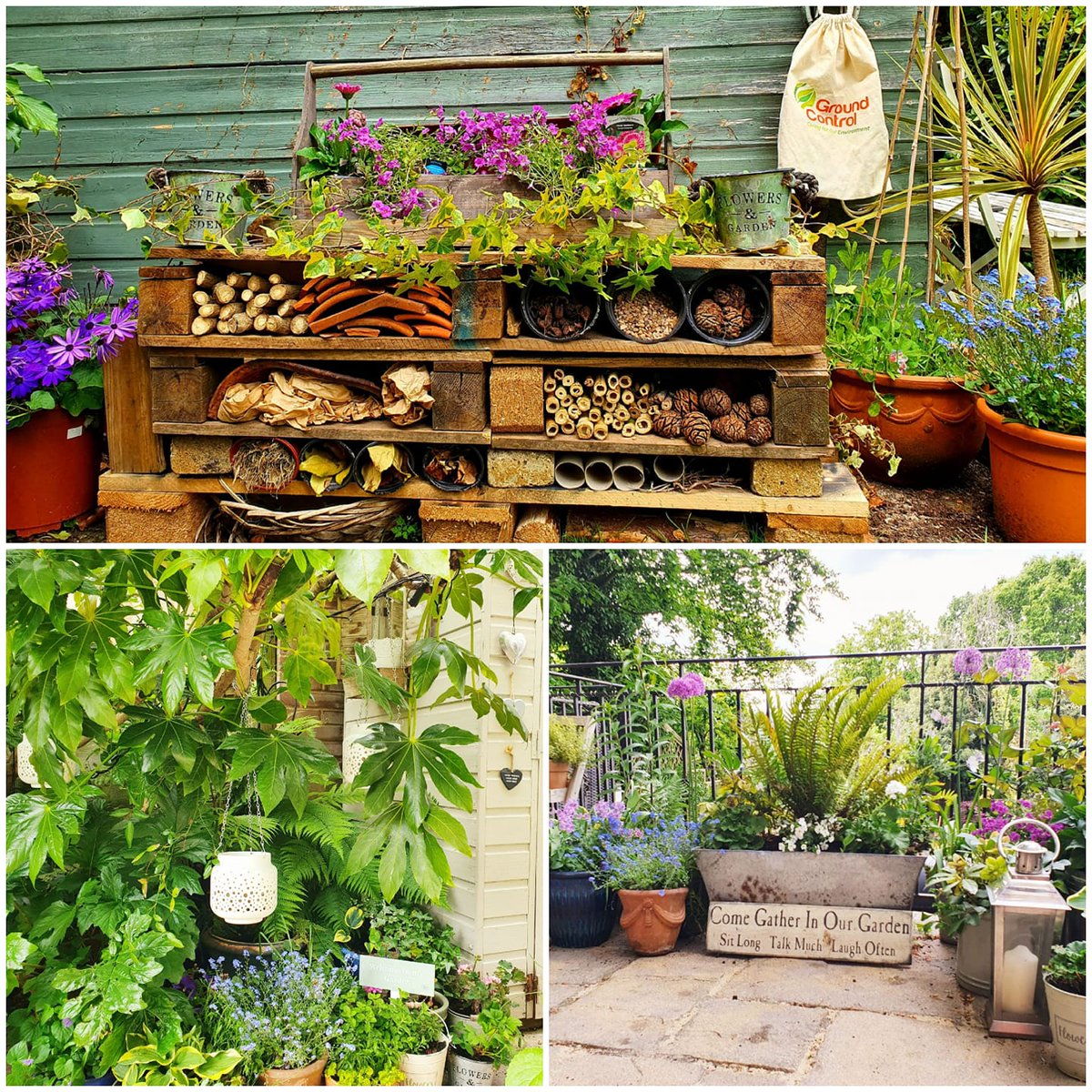 GroundControlGC's tweet photo. #GCFlowerShow SECOND place is... Amanda Manning. Great work!

“The optimisation of space here is really impressive.” – Matt
“I love the bug hotel, it just shows that Ground Controls passion for eco-diversity and the environment runs throughout the company” – Alex L https://t.co/nYUBcOVz1Q