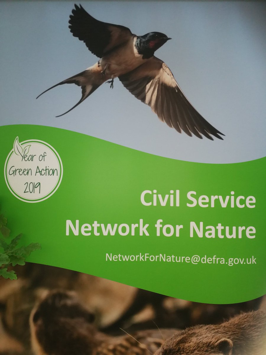 Queen_of_Marine's tweet photo. On #BiodiversityDay2020, I am reflecting on the importance of #Nature. Grateful for #Network4Nature connecting UK civil servants to celebrate #Nature. We are working on virtual connections & events because we are always #BetterWithNature 💚 #DefraCommunities #HereForYou https://t.co/6AE8y5upOu