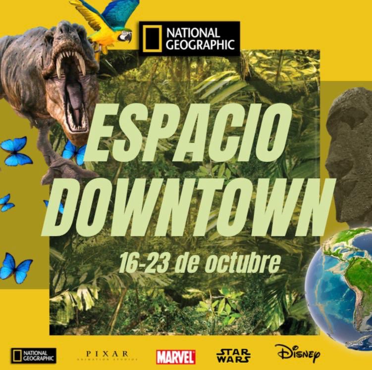 disneyplusspain's tweet photo. El mundo de National Geographic te espera en el Espacio downtown, 📍Calle de la Paloma, 15 
¿Te lo vas a perder? 
#DisneyPlus #NationalGeographic https://t.co/5hyybpKu74