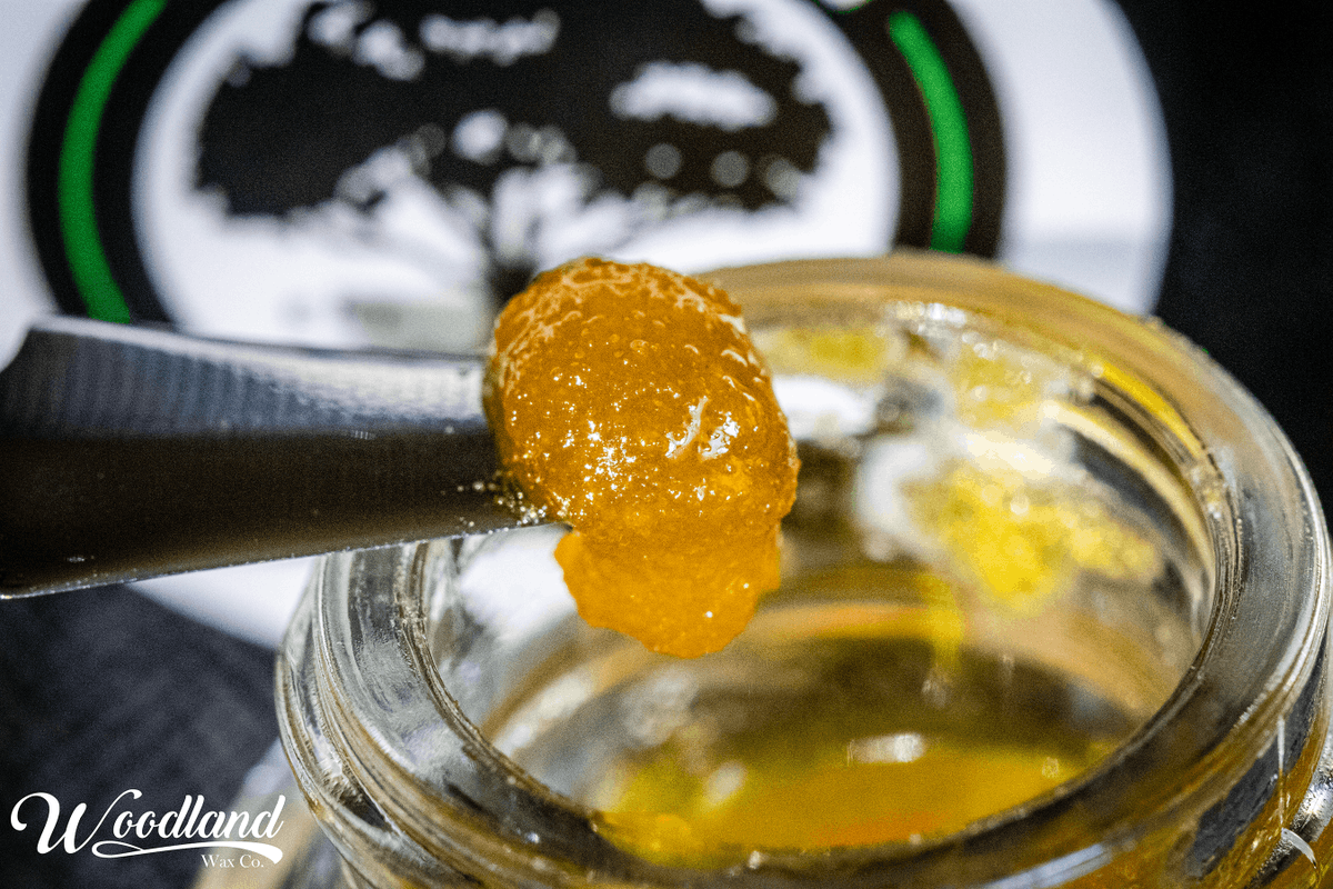 WoodlandWaxCo's tweet photo. Got terps? We got you! This #SweetDiesel was extracted from fresh frozen plants, just like all our live resins. This preserves much of the terpenes which means more flavor and more strain specific effects. Who are you blazing this with? Tag a Diesel fan! https://t.co/GdS8VqMcKA
