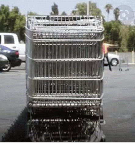 LaurenMasc's tweet image. My plans:                                     2020: