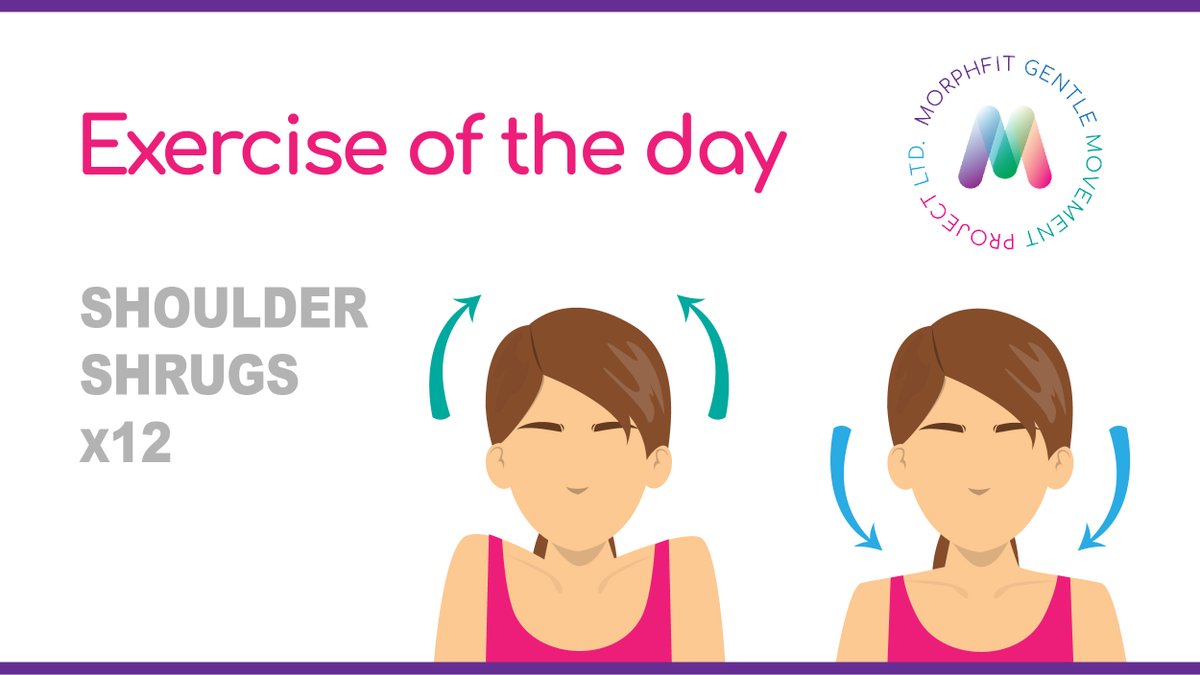 MorphFit Gentle Movement Project Ltd. tweet media