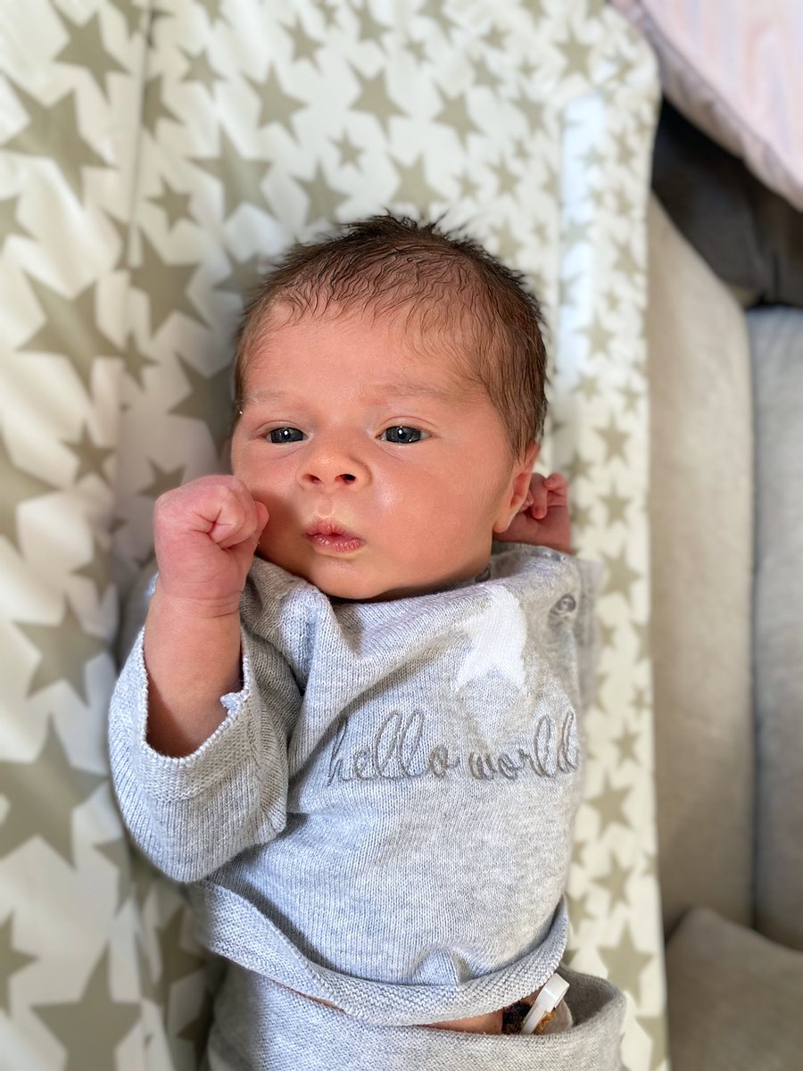 Sami Cutler tweet media