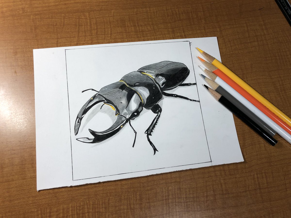 潤 En Twitter オオクワガタ描きました はじめてのアニメキャラじゃない模写なので温かい目で見てやってください 模写 色鉛筆 イラスト