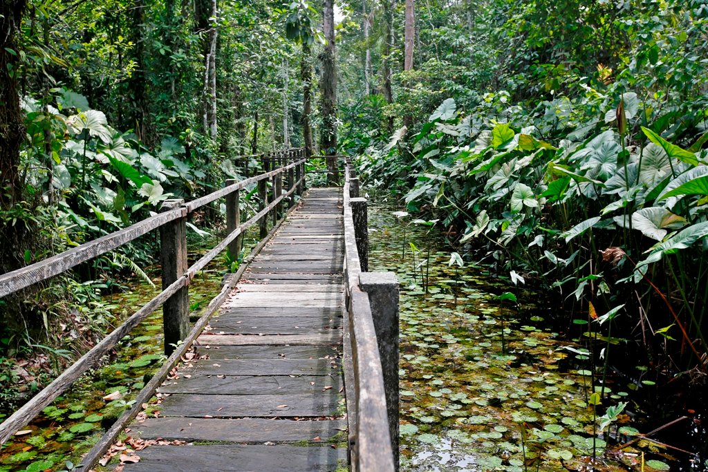 officialnlng's tweet photo. From the start of operations in 1999, @nigeriaLNG has taken environmental sustainability very seriously. The passion stems from our belief that flourishing biodiversity and wetlands can help solve sustainability challenges globally.  @tonyattah @SMai_Bornu #BiodiversityDay2020 https://t.co/Ihob6pbvIZ