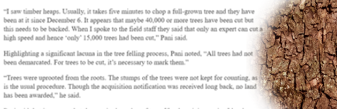 Sushmitav1's tweet image. Biodiversity can only be protected if natural forests &amp;amp; the communities who sustain them through various means:
protecting forests from fires, rooting out weeds &amp;amp; shrubs,nourishing trees with organic manures-are preserved. #InternationalBioDiversityDay #SaveTalabira #DumbOrGreedy
