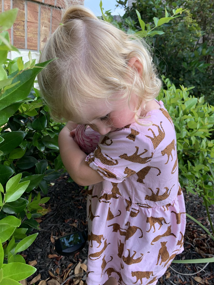 MalloriHowie's tweet photo. Allie got a garden flamingo today and now they are best friends https://t.co/CPSWaDecRZ