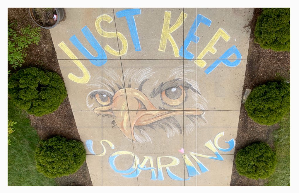 Sydney Goushas tweet media