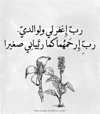 WD007B's tweet image. 🌹