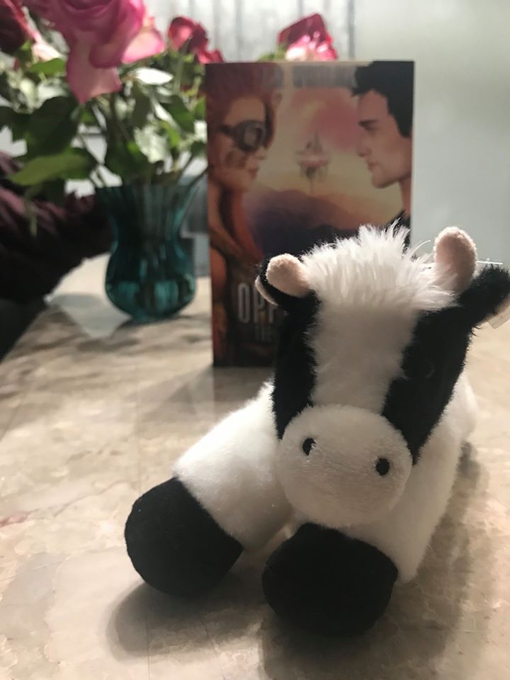 SophieBartow's tweet photo. Supporting fellow #Indieauthor  Whats a futuristic luxury flying car, a chihuahua-sized cow, and a billionaires heart all have in common? They were all either stolen or broken by Clover. Oppression: Miners of Zalma 
https://t.co/ymXC9OyPqL
#newbook #mustread https://t.co/wD8vmXXXYl