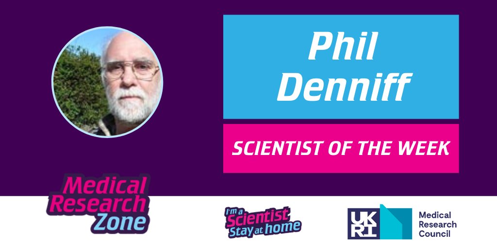 I'm a Scientist Team tweet media