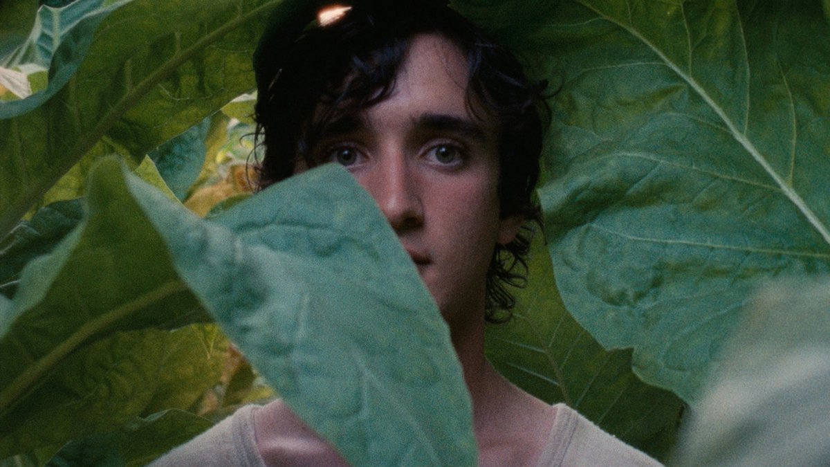 cinetree's tweet photo. Nieuw op Cinetree: Lazzaro Felice! Een magisch sprookje dat misschien wel véél meer met onze wereld te maken heeft dan dat je in eerste instantie zult denken. Nu te zien 💚🌿 https://t.co/VW3bR4nZYg #lazzarofelice #linkinbio #alicerohrwacher #cinetree https://t.co/Xof49AIWPO