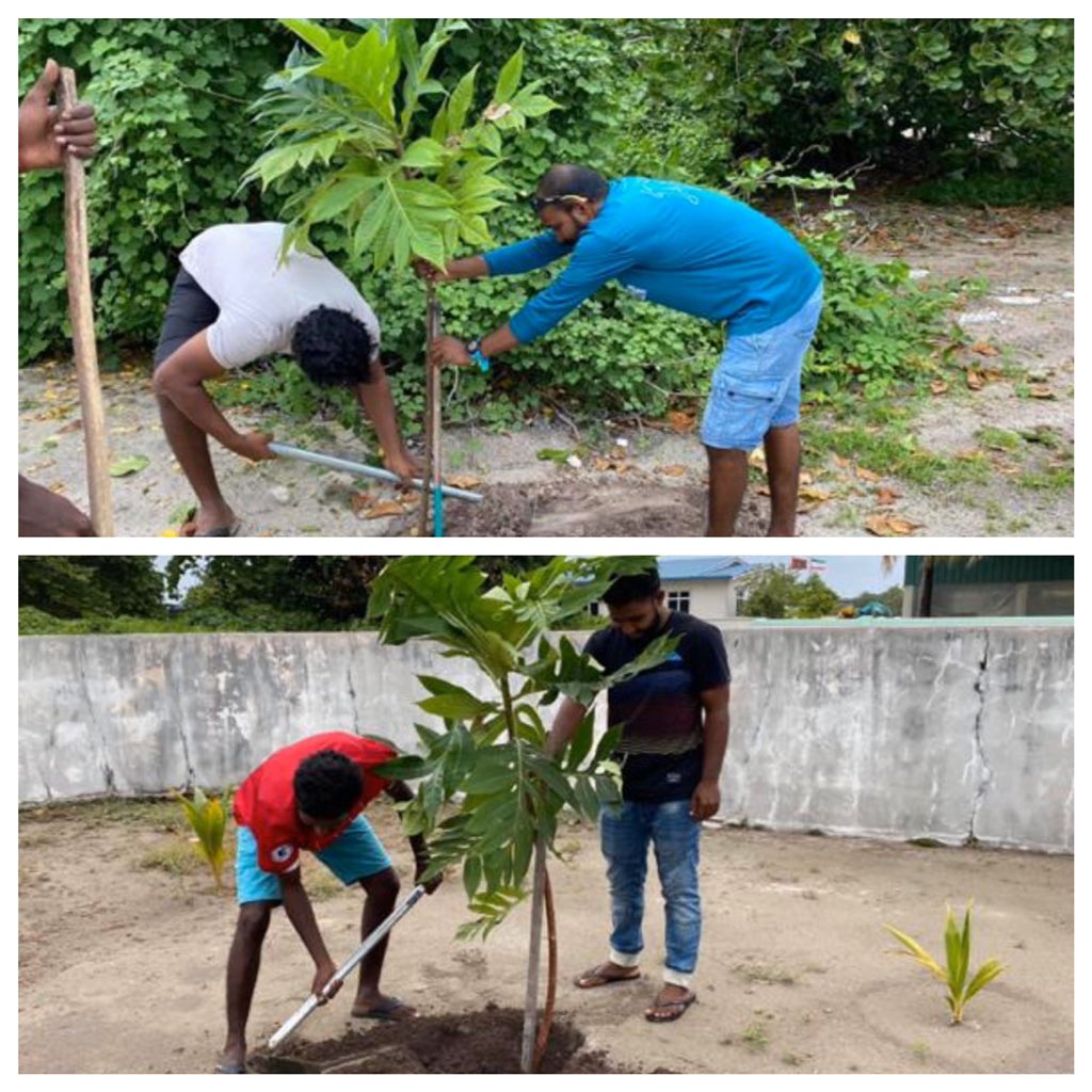 Mohamed Nasheed (@mohamednasheed) on Twitter photo Ken’dhikulhudhoo rayyithunnah hama assaribahun saabas. Mifaharuge mi bodu roaga in saafu vejje amilla ah hahdhaa thakethin kaiboe ulhevenjeheykan. Roaga rangalhuvi namaves, roaga ge thadhu adhi kuriah oiy kamah fennanee
<a href="/MPahmedeasa/">Ahmed Easa</a>, @ibr_shaneez, <a href="/MohamedRauf17/">Mohamed Rauf</a> Ken’dhikulhudhoo rayyithunnah hama assaribahun saabas. Mifaharuge mi bodu roaga in saafu vejje amilla ah hahdhaa thakethin kaiboe ulhevenjeheykan. Roaga rangalhuvi namaves, roaga ge thadhu adhi kuriah oiy kamah fennanee
<a href="/MPahmedeasa/">Ahmed Easa</a>, @ibr_shaneez, <a href="/MohamedRauf17/">Mohamed Rauf</a>