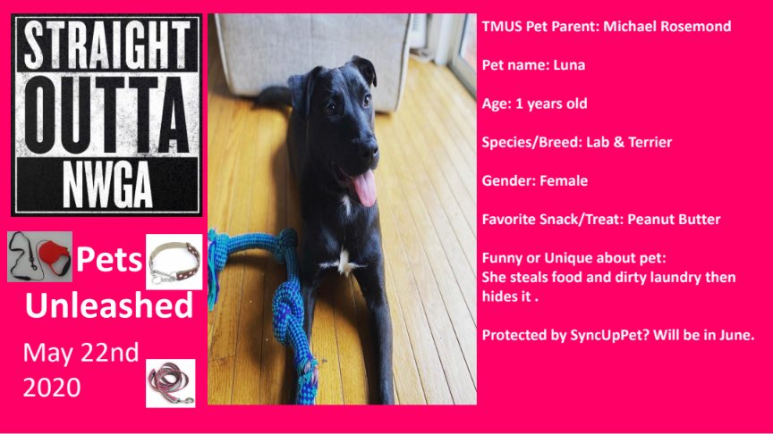 MarielaPerezATL's tweet photo. This weeks #StraightOuttaNWGA Pets Unleashed feature is Luna Rosemond. Lets make her famous! #SyncUpPets @NIKKILENA @neythin @jackhjohnson https://t.co/d9z1IDLj3S