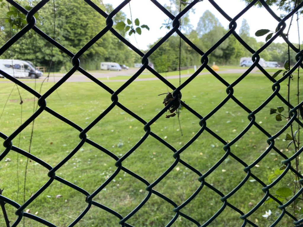 <a href="/gwentpolice/">Gwent Police</a> @GPNewport Are holidays still allowed in @NTTredegarHouse ? Essential travel to work or shops is the advise for us abiding by the law. Yet around 12 caravan/campers enjoying the bank holiday weekend #walesisclosed #stayhome #savelives #wales #lockdown