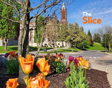 SUAlums's tweet photo. 🍊This week in The Slice🍊
➤ Preparing for an unorthodox fall on campus
➤ #CuseTogether
➤ 44 "new voices" for journalism
➤ Visiting with Pinterest's most popular creator
➤ ...and much more! https://t.co/Cjah5LAFYz