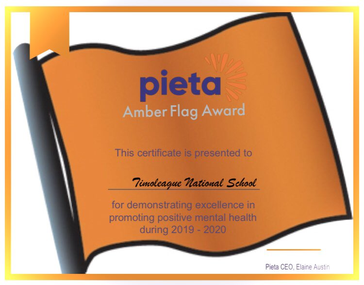 TimoleagueNS's tweet photo. Amazingly proud that we have been awarded the @PietaHouse #amberflag for promoting positive mental health for the 3rd year. https://t.co/6xUi4y9ENv
