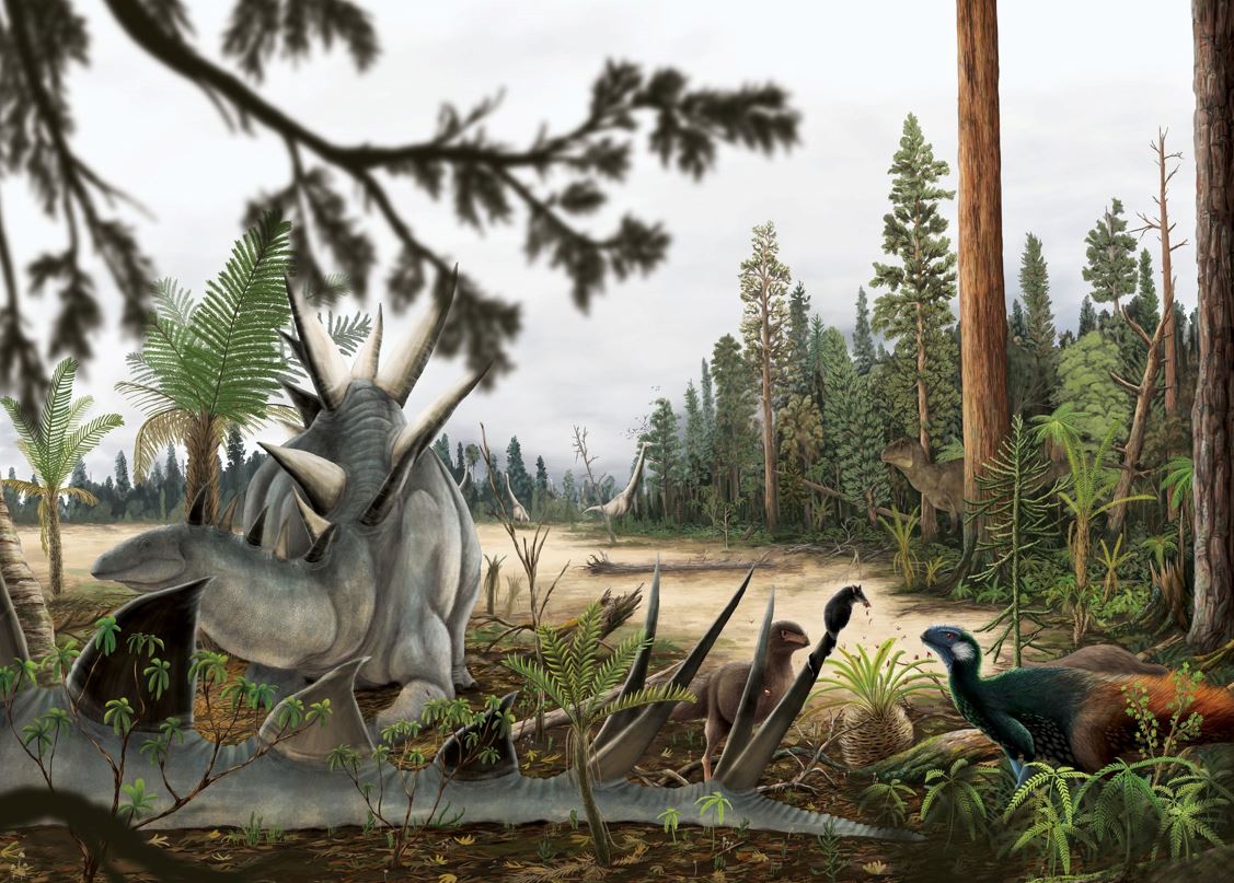 The TMDD contention also has it that there is no way the habitats concerned could handle the HUGE populations of these  #dinosaurs that would have existed. But this makes a ton of assumptions about population size, all of which are probably nonsense ...  http://tetzoo.com/blog/2020/5/1/stop-saying-that-there-are-too-many-sauropod-dinosaurs-part-5