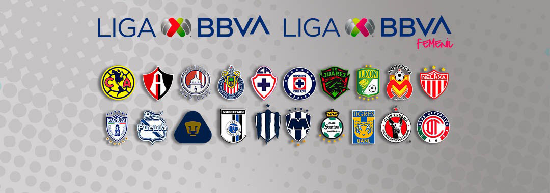 Liga BBVA MX tweet media