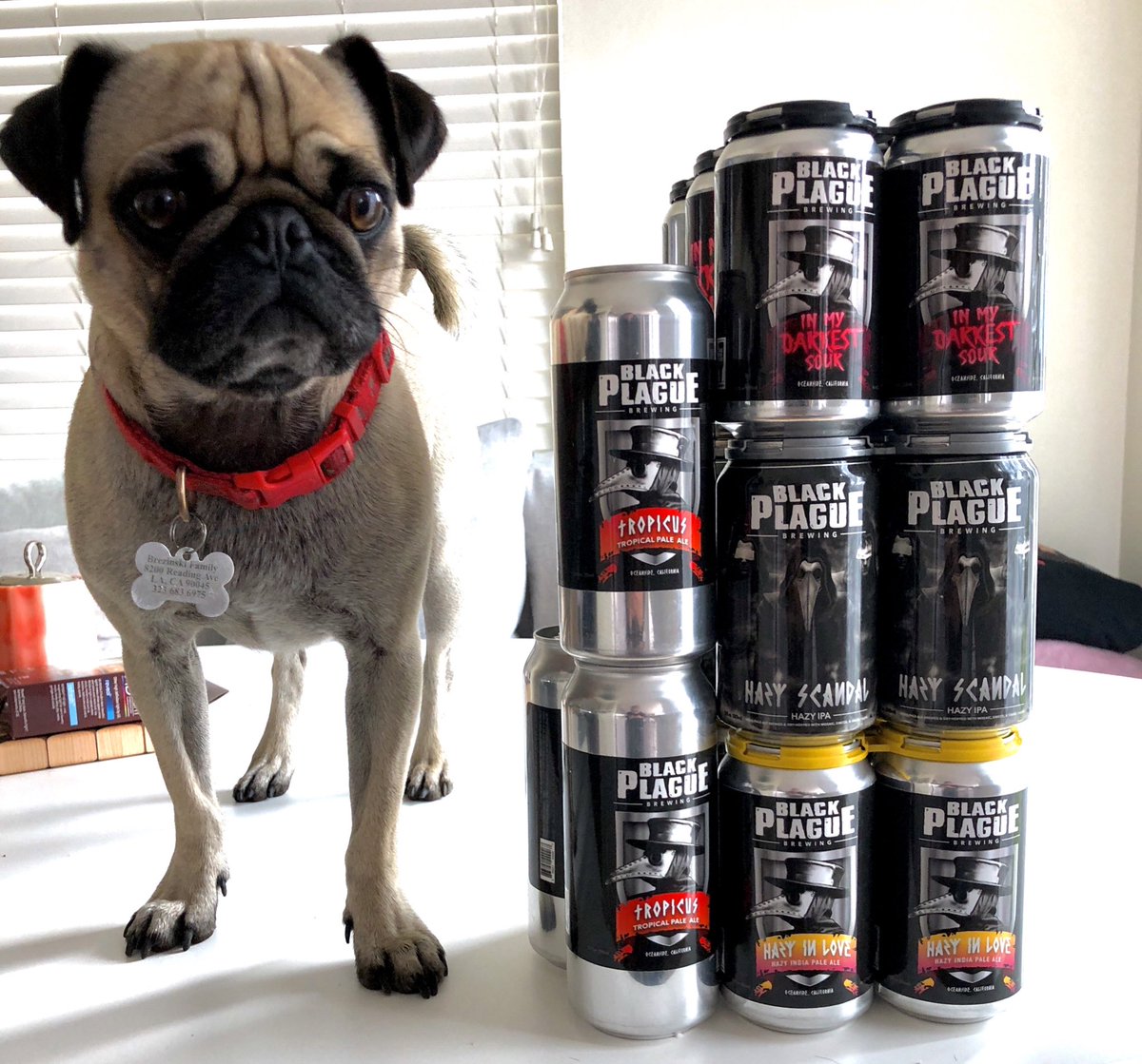 We’re getting ready for the weekend 🍻🍻🍻🍻 <a href="/BlackPlagueBeer/">Black Plague Brewing</a> <a href="/pizzathepug/">pizza</a>