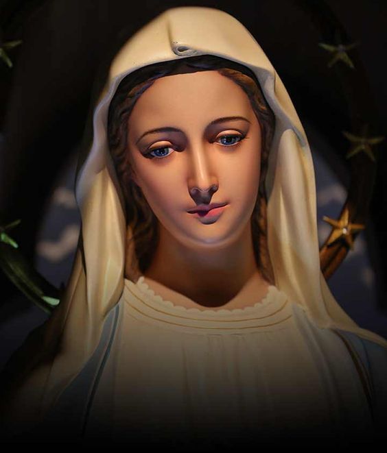 Santa_Palabra's tweet photo. "Dios te salve, María, Madre de Dios. En ti está y estuvo todo la plenitud de la gracia y todo bien". San Francisco de Asís https://t.co/ZY0bCmYfiJ