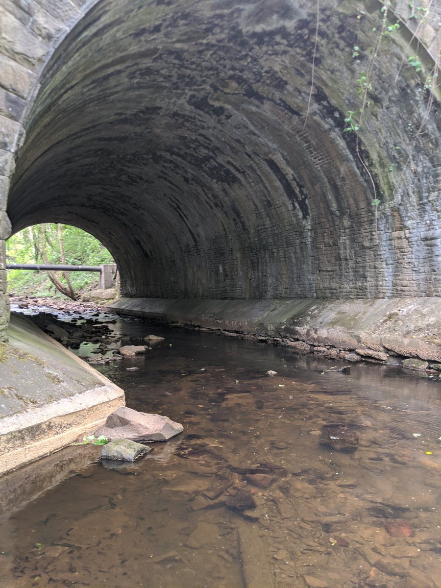 zenabob's tweet photo. Lovely walk down the Sett Valley trail, did some litter picking too to help keep it looking beautiful. #newmills #highpeak #settvalleytrail https://t.co/orcd5BxvSw