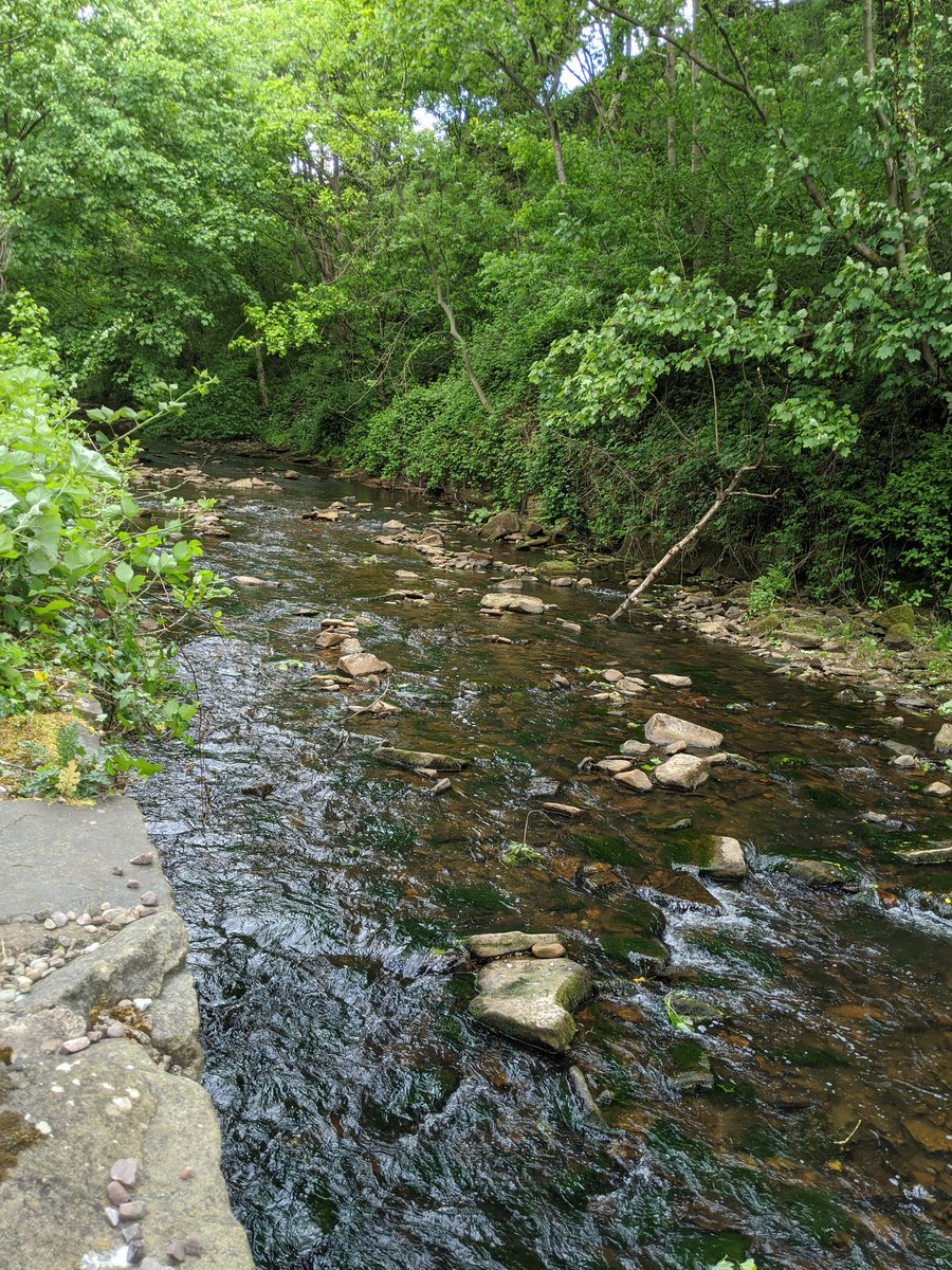 zenabob's tweet photo. Lovely walk down the Sett Valley trail, did some litter picking too to help keep it looking beautiful. #newmills #highpeak #settvalleytrail https://t.co/orcd5BxvSw