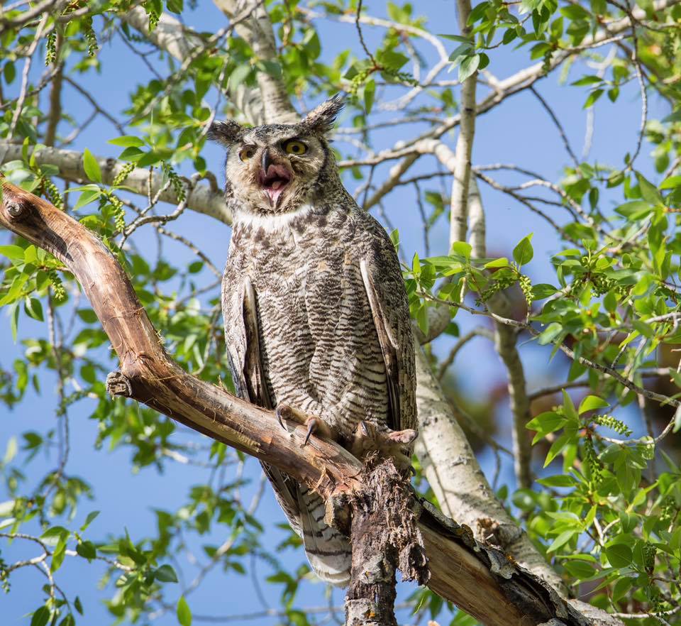 National Park Service tweet media