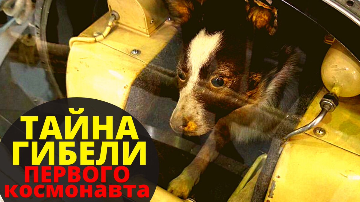 1-й космонавт в истории - тайна гибели:
youtube.com/watch?v=3RZwIU…
