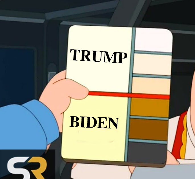 AdanSalazarWins's tweet photo. How Biden thinks voting should work #JoeBidenIsARacist #YouAintBlack https://t.co/s5g07j7bAs