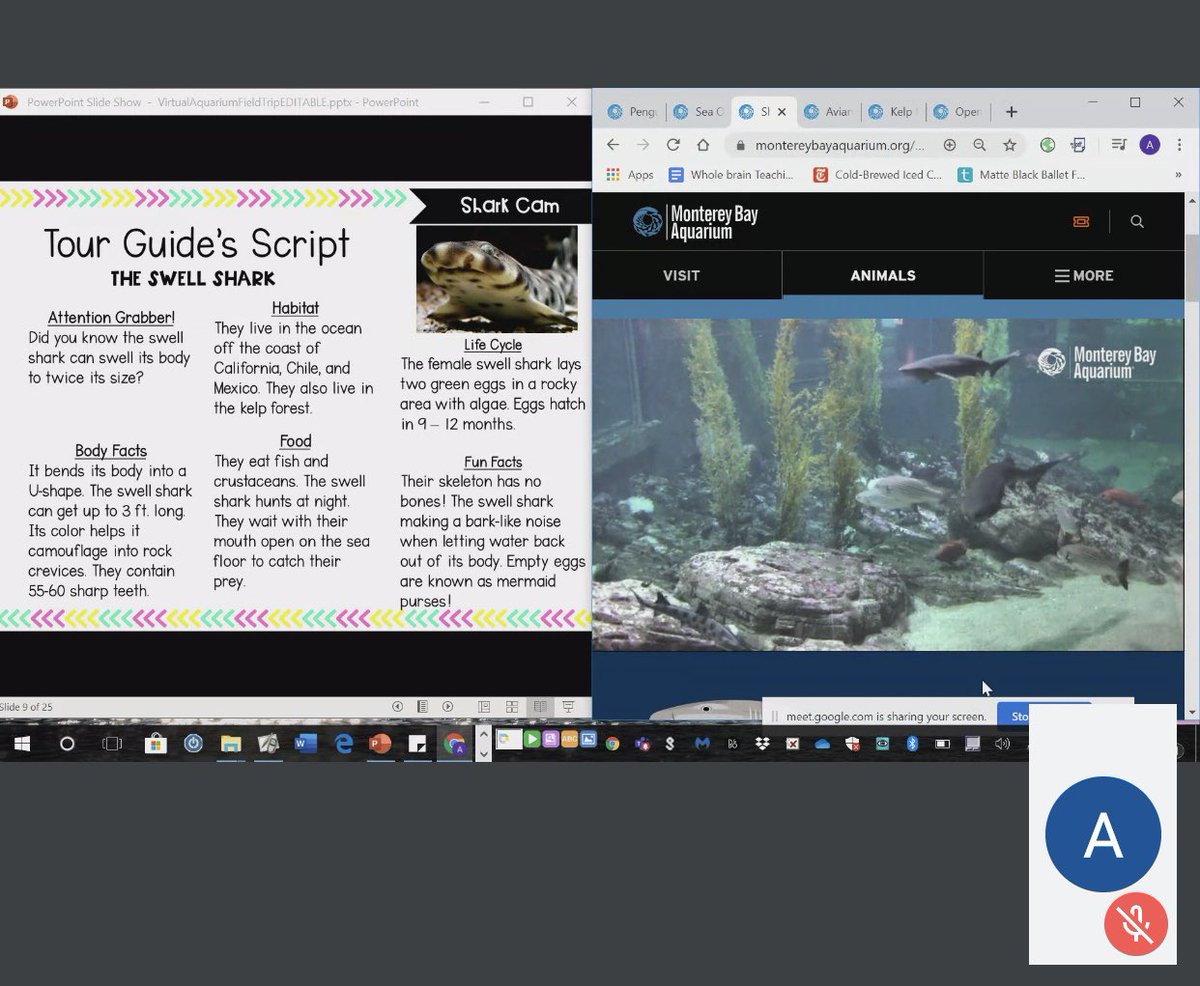 Ms. Moreira tweet media