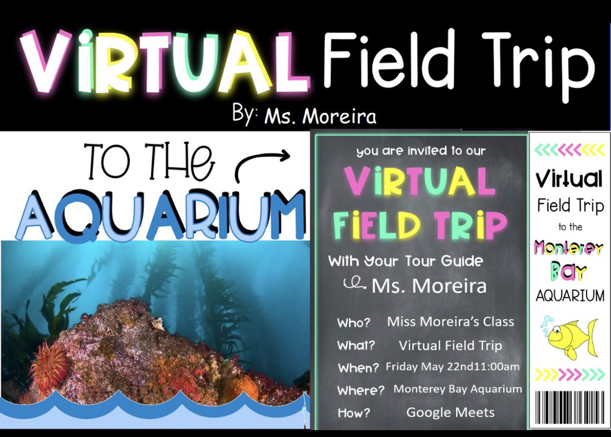 Ms. Moreira tweet media