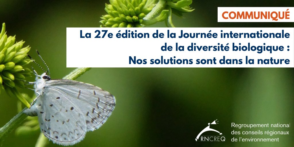 RNCREQ's tweet photo. Bravo à @Val_Plante ambassadrice @ICLEI, qui a publié une lettre pour encourager les décideurs à prendre des actions pour contribuer à la protection de notre #biodiversité et nos #écosystèmes de manière à restaurer le lien entre l’humain et la nature.
 👉🏼https://t.co/MVKAzHUynp https://t.co/Tu9XLdizye