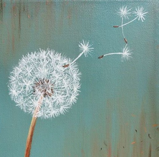 Milly48950457's tweet photo. E soffiare piano piano
su quel fiore lì così strano..
e pensare mentre soffio che sembra neve,
ma neve non è.. #Baglioni #eStrano 
#UnTemaAlGiorno
#ScrivoQuelCheSento
#VentagliDiParole 
#AritmoDelCuore
#ScrivoArte
#UnaMusicaFa
#musicaitaliana 
#IcoloriDellAnima
#ArteDiPrimavera https://t.co/U2u4XcXEJS