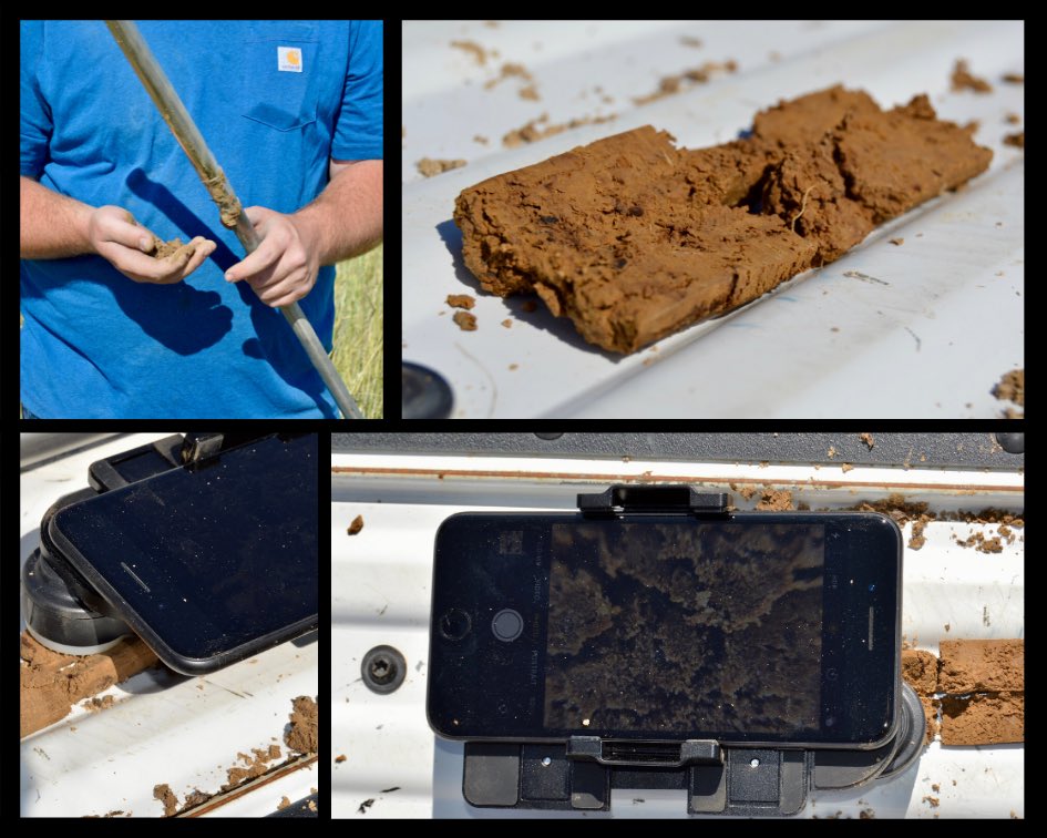 Evaluating #soilhealth during #plant2020. #ARcrops #covercrop #cottoncheckoffatwork <a href="/AgWriterArk/">🧨 Ferndale Int’l Observatory</a>