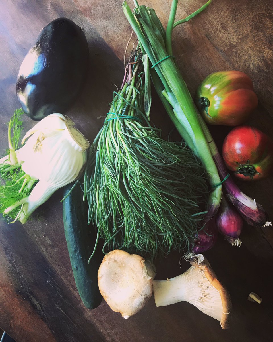 lumelondon's tweet photo. Specials of the day: #agretti #cardoncelli #fennel #costieratomatoes #aubergine #cipollottorosso #italiangrocer #primrosehill #lovelocal https://t.co/rb0OydyKYx