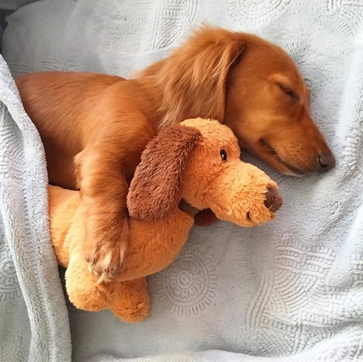 Big spoon and little spoon