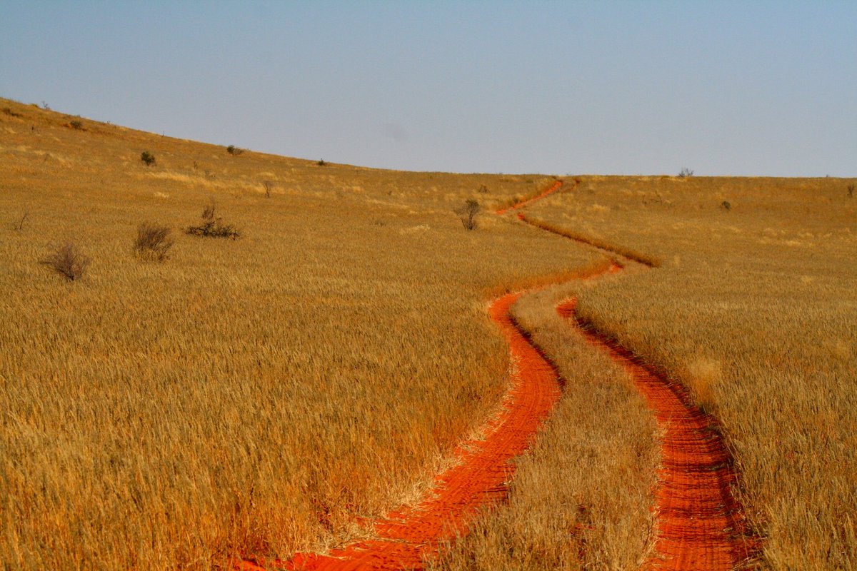 BryanKDM's tweet image. #Kgalagadi2020 #TravelTomorrow #NorthernCape  @NorthernCapeSA @Tracks4Africa @boundless_sa
 @Tourism_gov_za @SANParksKTP @empowermzansi Leeuwdril 4x4 Eco Trail. #DayTrip