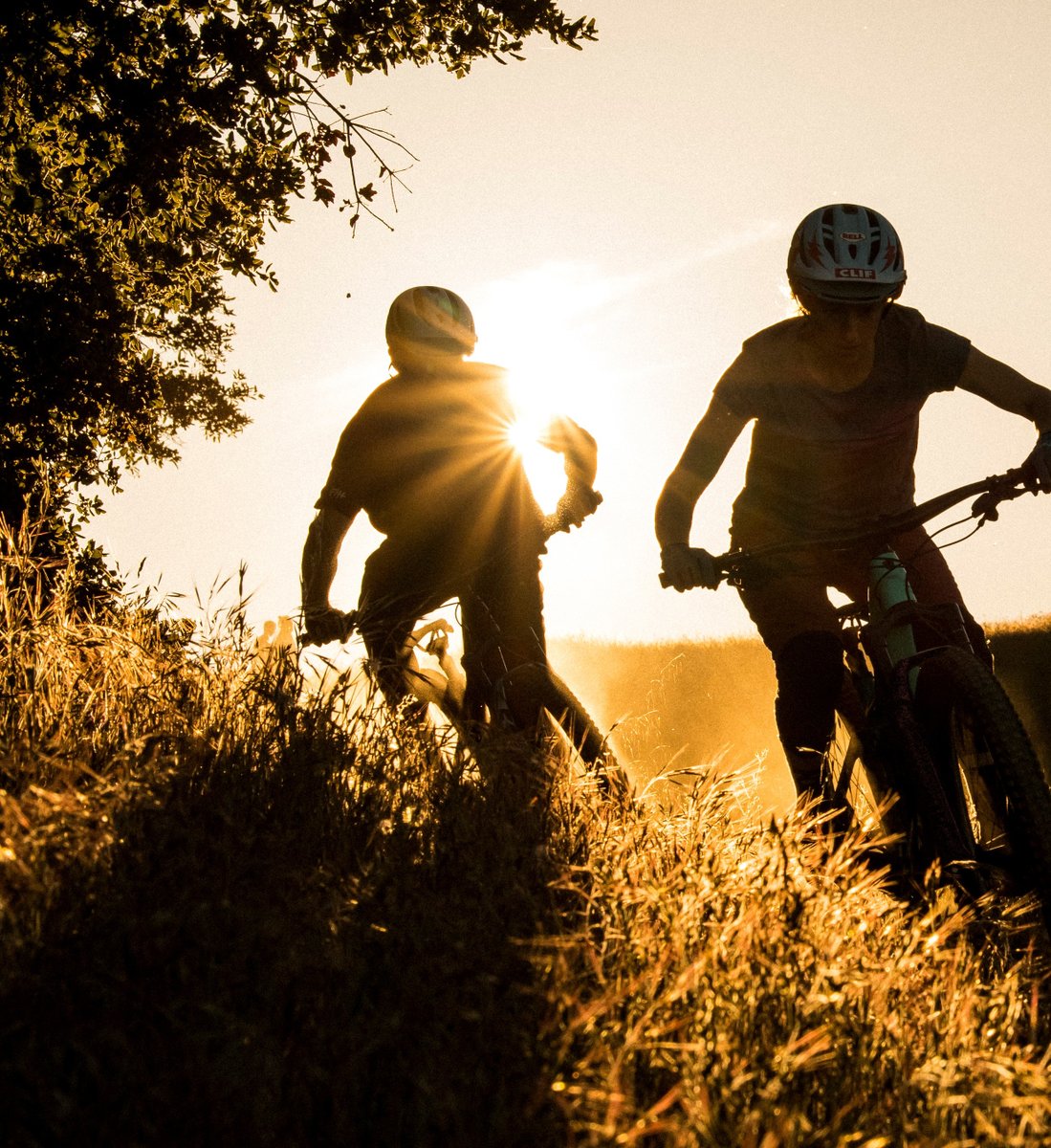 Trek Bicycle Stores of Cincinnati tweet media