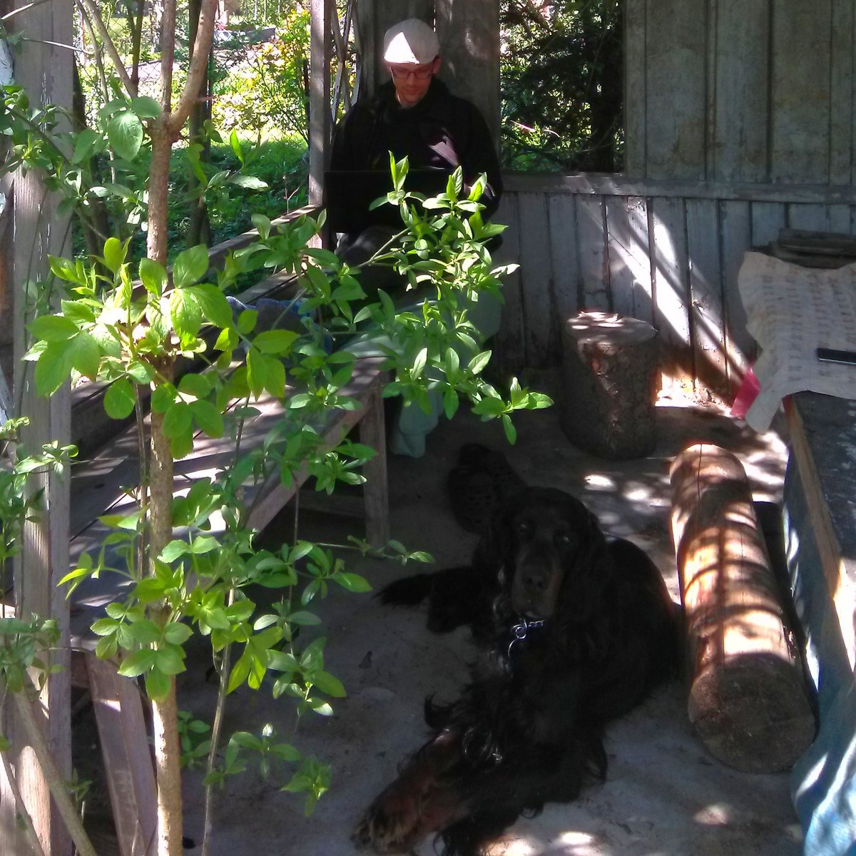 radair4d's tweet photo. Michal Stolba, our R&amp;D Engineer, works a lot from his weekend home, with his family &amp; their dog. https://t.co/pRGvhHU55q
#meandairbv #team #researchanddevelopment
#engineer #phd #teamwork #radair4d #weatherapplication #pilotapp #pilots #weathersatellite #thunderstorms #covid19 https://t.co/mjy7ZsVSRf
