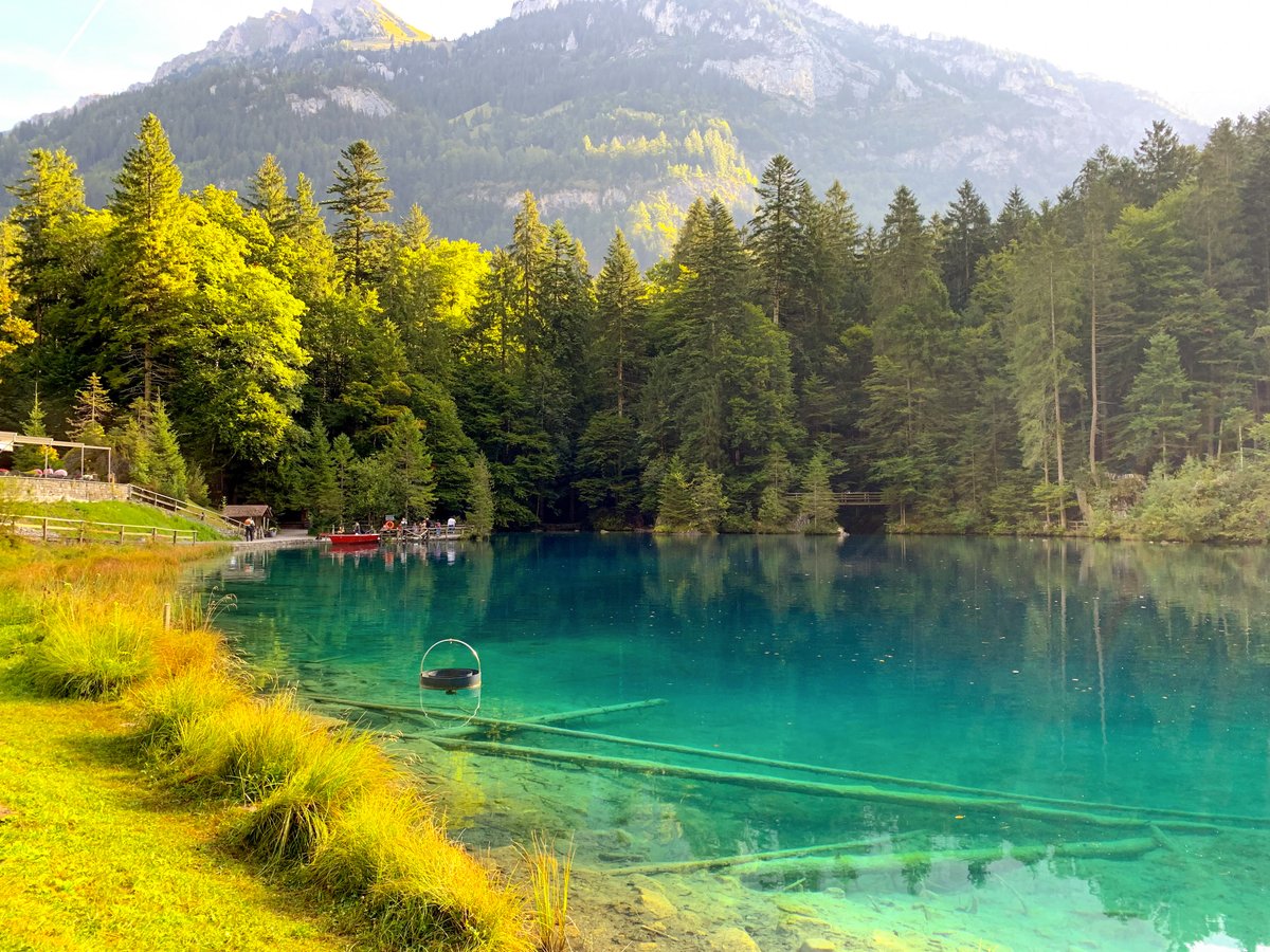 A few more beautiful  #lakes for today's  #FlashbackFridayz from  #Switzerland!Oeschinensee, Bannalpsee, Blausee, Lake Geneva. Share yours with the hashtag. Tag  @carpediemeire  @Adventuringgal  @TravelBugsWorld  @travelforawhile  @StuckOntheGo