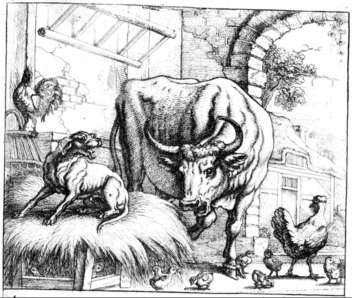 I call it a Dog-in-the -Manger policy after Aesop's Fable.There was a dog in a manger full of hay. When cattle came & wanted to eat, the dog barred their way, baring his teeth. The cattle said to the dog, 'You'r being unfair by begrudging us something we need that is useless 2 U