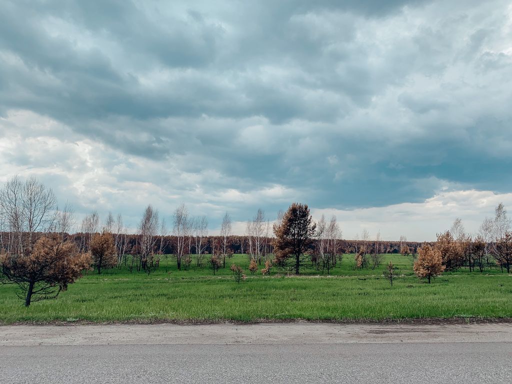ChernobylX_tour's tweet photo. The #Chernobyl Exclusion Zone is recovering after fire 🔥

READ MORE ➡️ https://t.co/h9shqKek7C

🌍 Follow us @CHERNOBYLwelcome

#ChernobylFires #prayforchernobyl #chernobylwelcome #Ukraine https://t.co/dB7wPso2d5