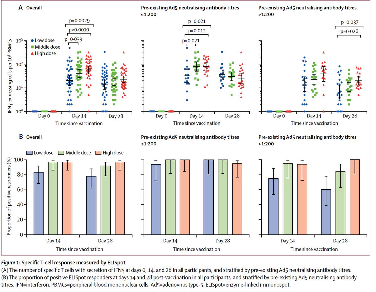 Primera Vacuna para "el enemigo" con resultados esperanzadores, aunque fiebre, cefaleas, ....y respuesta a 14 dias y defensa a 28. Ojo, no aletorizado, no seguimiento  https://www.thelancet.com/journals/lancet/article/PIIS0140-6736(20)31208-3/fulltext