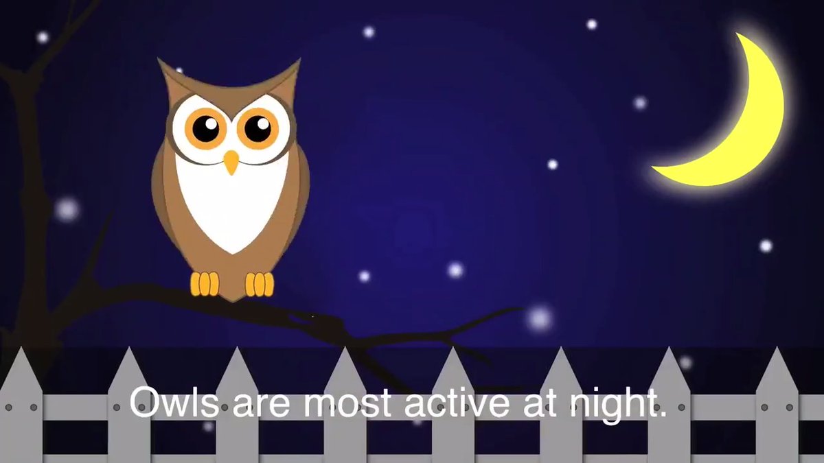 Night owl connect manual