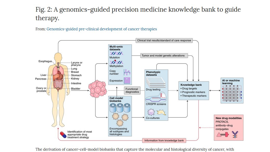 NatureCancer's tweet photo. ONLINE NOW @NatureCancer: "#Genomics-guided pre-clinical development of cancer #therapies" @Garnettlab discussing opportunities to expand and refine precision cancer medicine approaches.

Read it here:
https://t.co/dpWveinIRn
https://t.co/Shy1d1RbOa

#ClinicalCancerGenomics https://t.co/cUH70KUATj