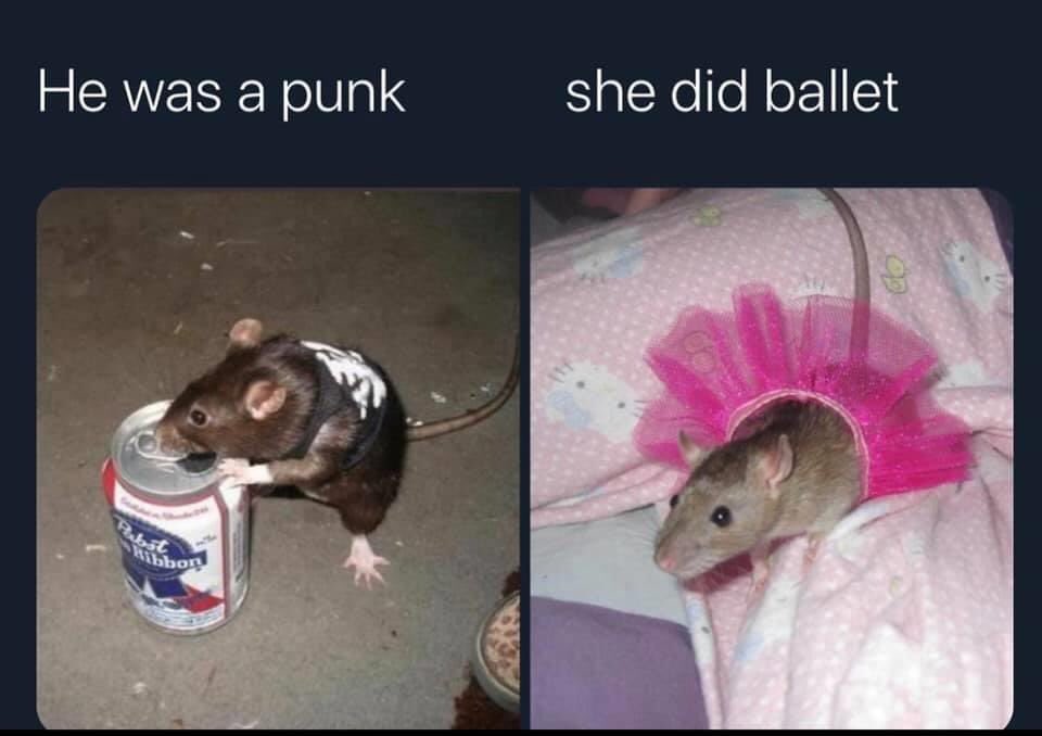 Propaganda Edinburgh tweet media