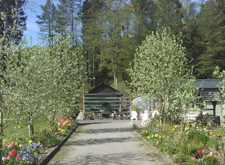 LLTNPCommPart's tweet image. Catch our E-Bulletin! Hi from coastal Cowal! In this edition: CP Communities Fund opens; @sascampaigns #GenerationSea survey; Guidance from @lomondtrossachs; community snippets @ardentinny  #Lochgoilhead #Sandbank #Arrochar @jacksontweet50 @3VillagesHall mailchi.mp/e2e7752a3672/t…