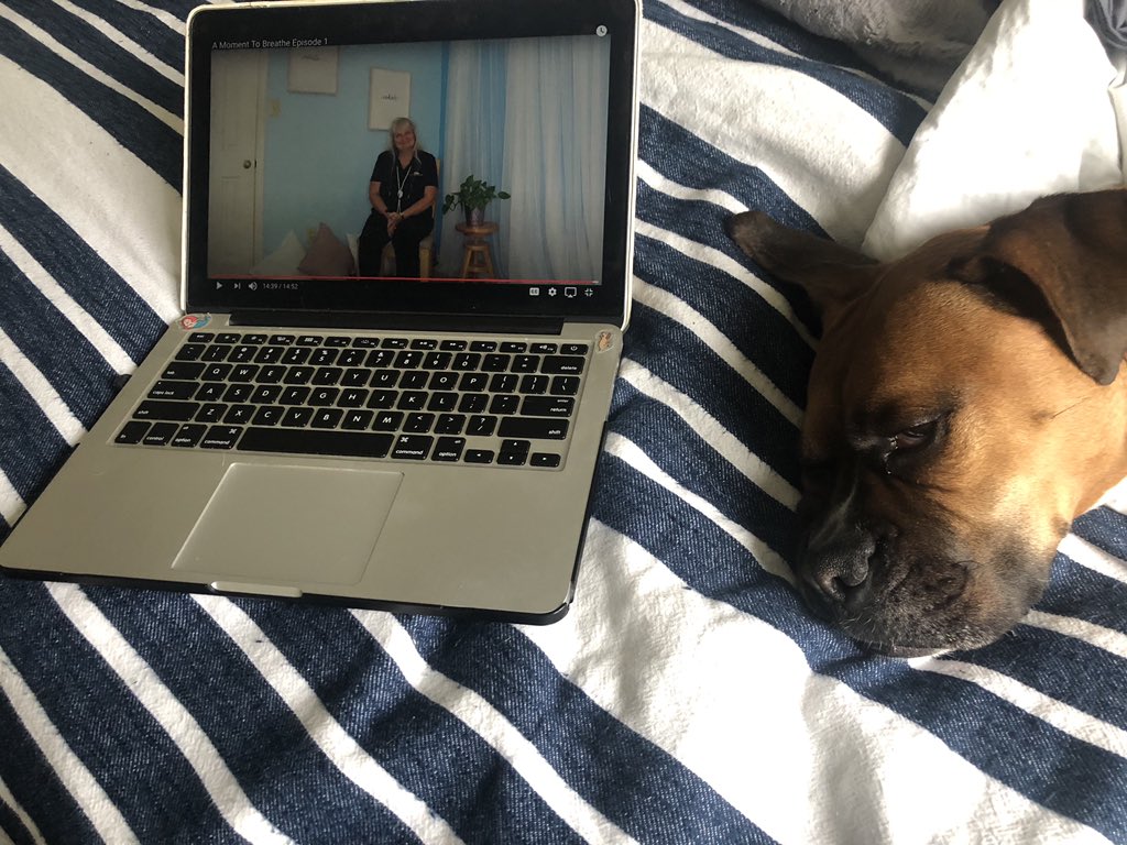 RowdyNewU's tweet photo. This week our employees have been focusing on their mental health by doing a 15 guided breathing exercises video put on by our very own Sylvia Mansour. Check out her At Moment to Breathe’ class on the UTSA Staff Senate YouTube channel! https://t.co/si0G1gvBK2