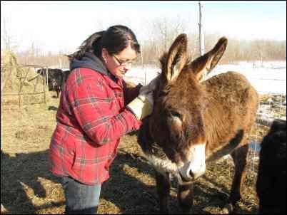 HomesteadOrg's tweet photo. "Guardian Donkey: Burden of Beasts" by Sue Dick #homesteading #livestockguardian #donkey #livestock #donkeysofinstagram #donkeylove #donkeyoftheday #donkeylife #animals #love #donkeyrescue  #burro #animallover #animallovers #ilovedonkeys #adoptadonkey
https://t.co/PCEnMcXFc1 https://t.co/SvlazKsqnT